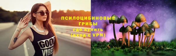 герыч Бронницы