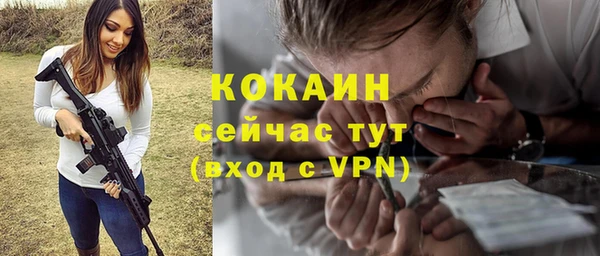 сатива Грязовец