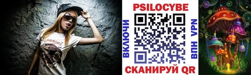 Псилоцибиновые грибы Psilocybe  ОМГ ОМГ зеркало  Велиж  купить наркоту 